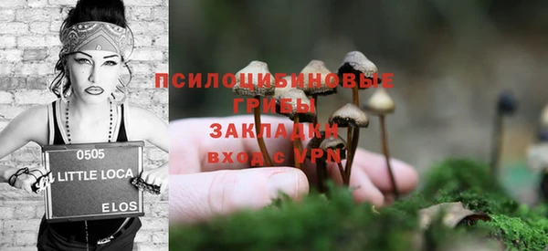 стафф Ступино