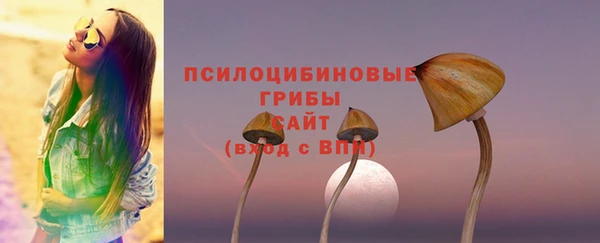 молекула духа Верея
