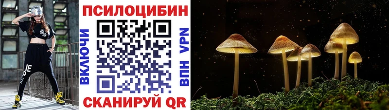 наркошоп  Калтан  Галлюциногенные грибы прущие грибы 